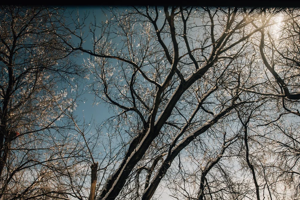 2024-03-25 Montreal-Quebec_21_websize.jpg