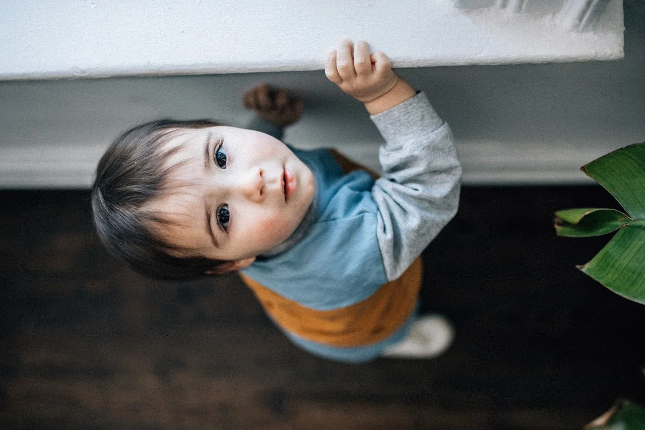 personality portraits DC 2025-07-1.jpeg