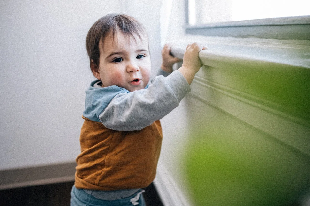 personality portraits DC 2025-10-1.jpeg