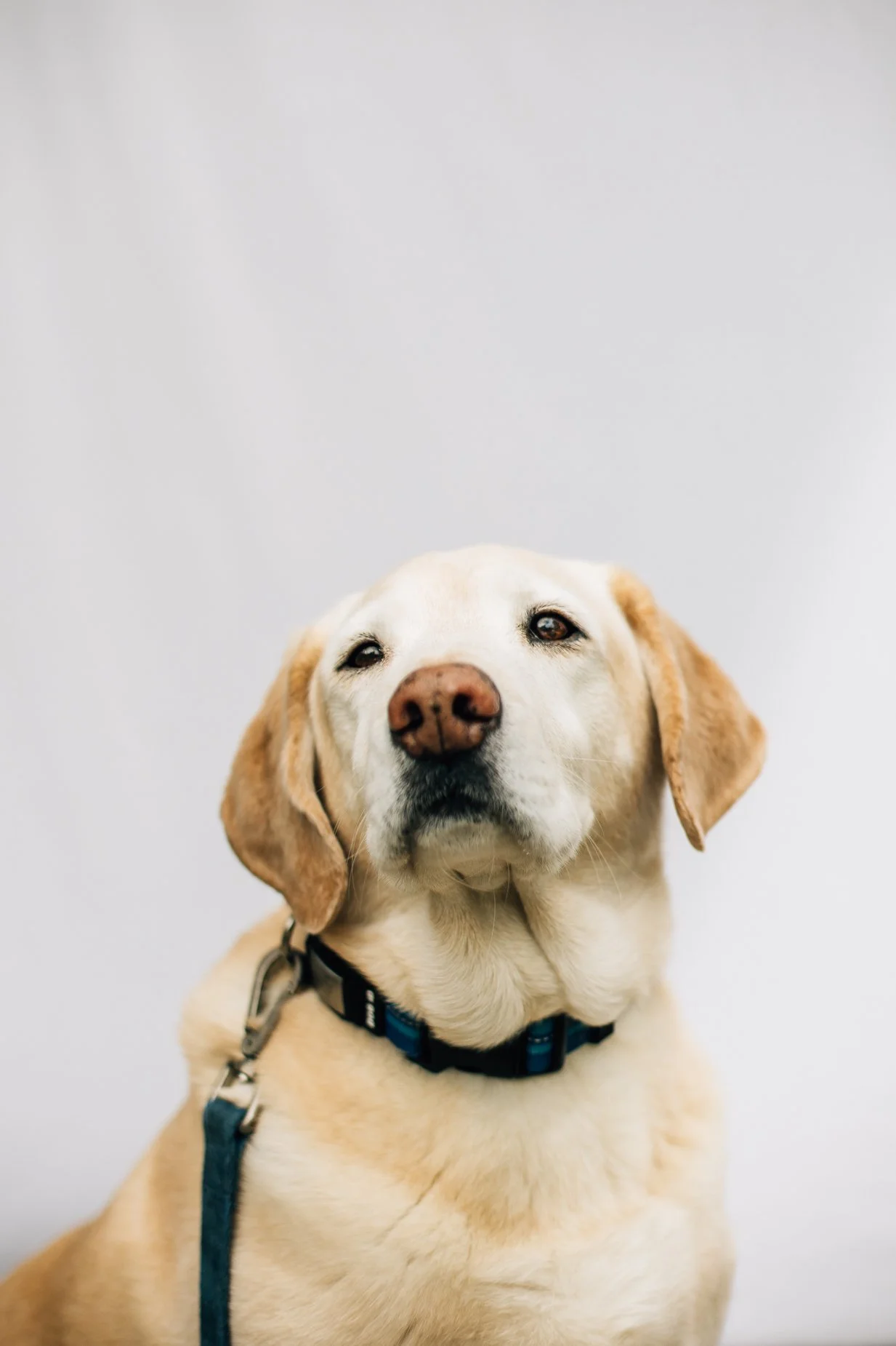 Mini Portraits_JFP-39.jpg