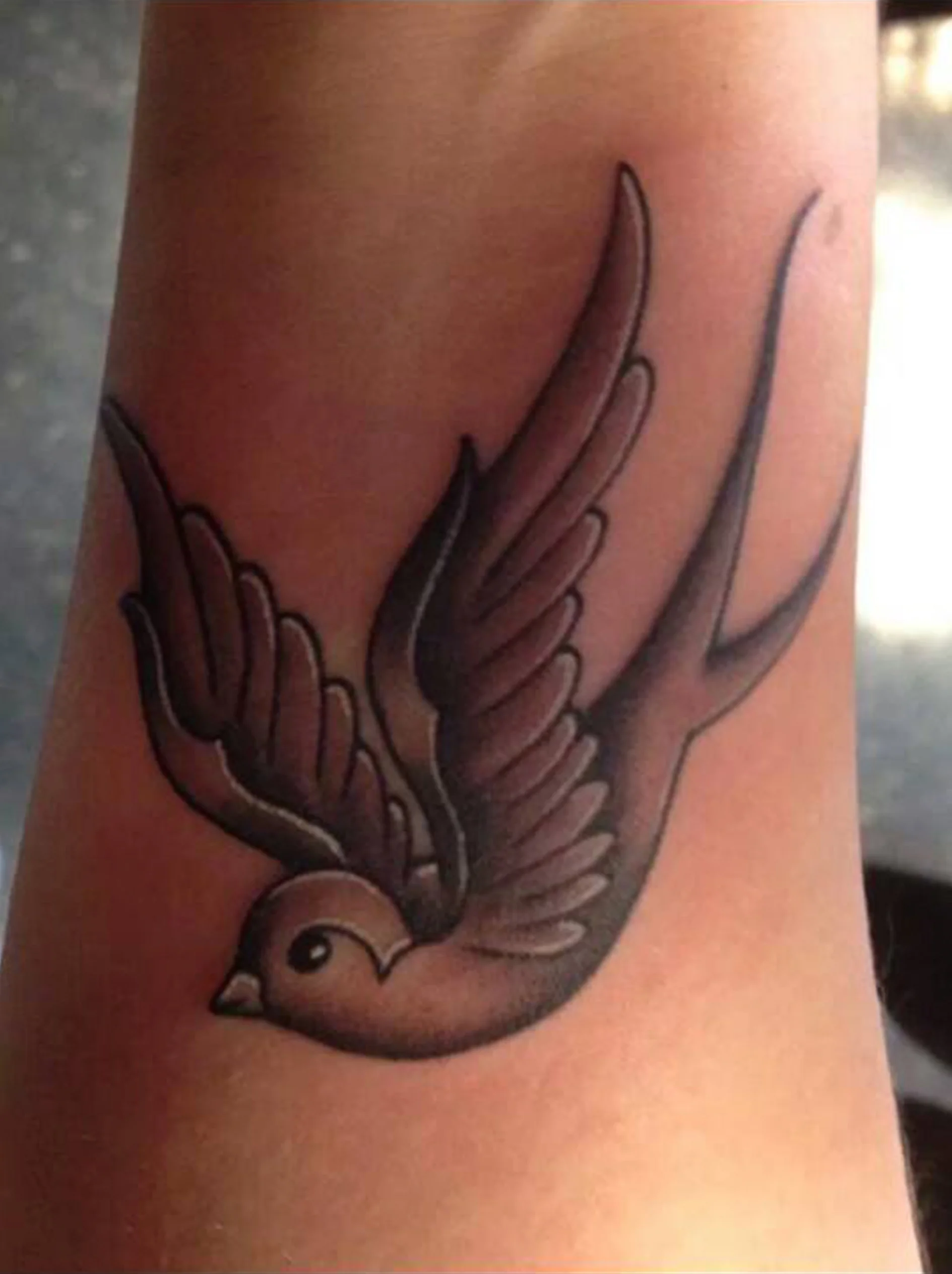 sparrow
