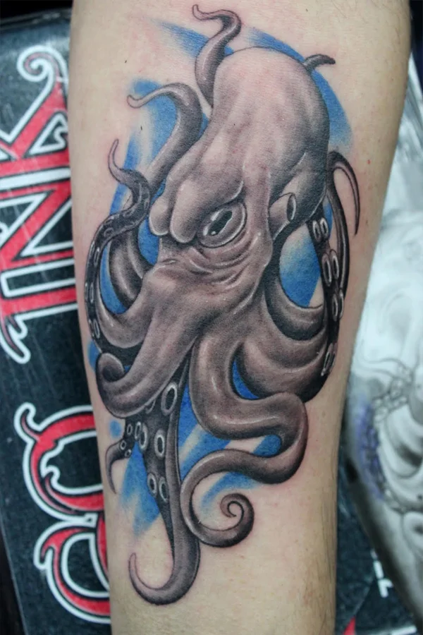 Octopus