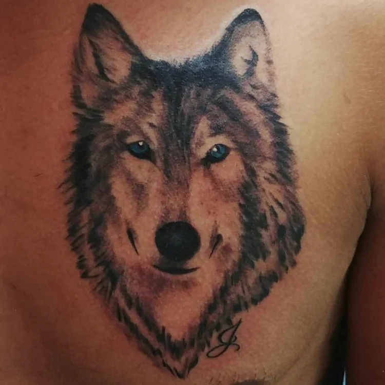 Wolf