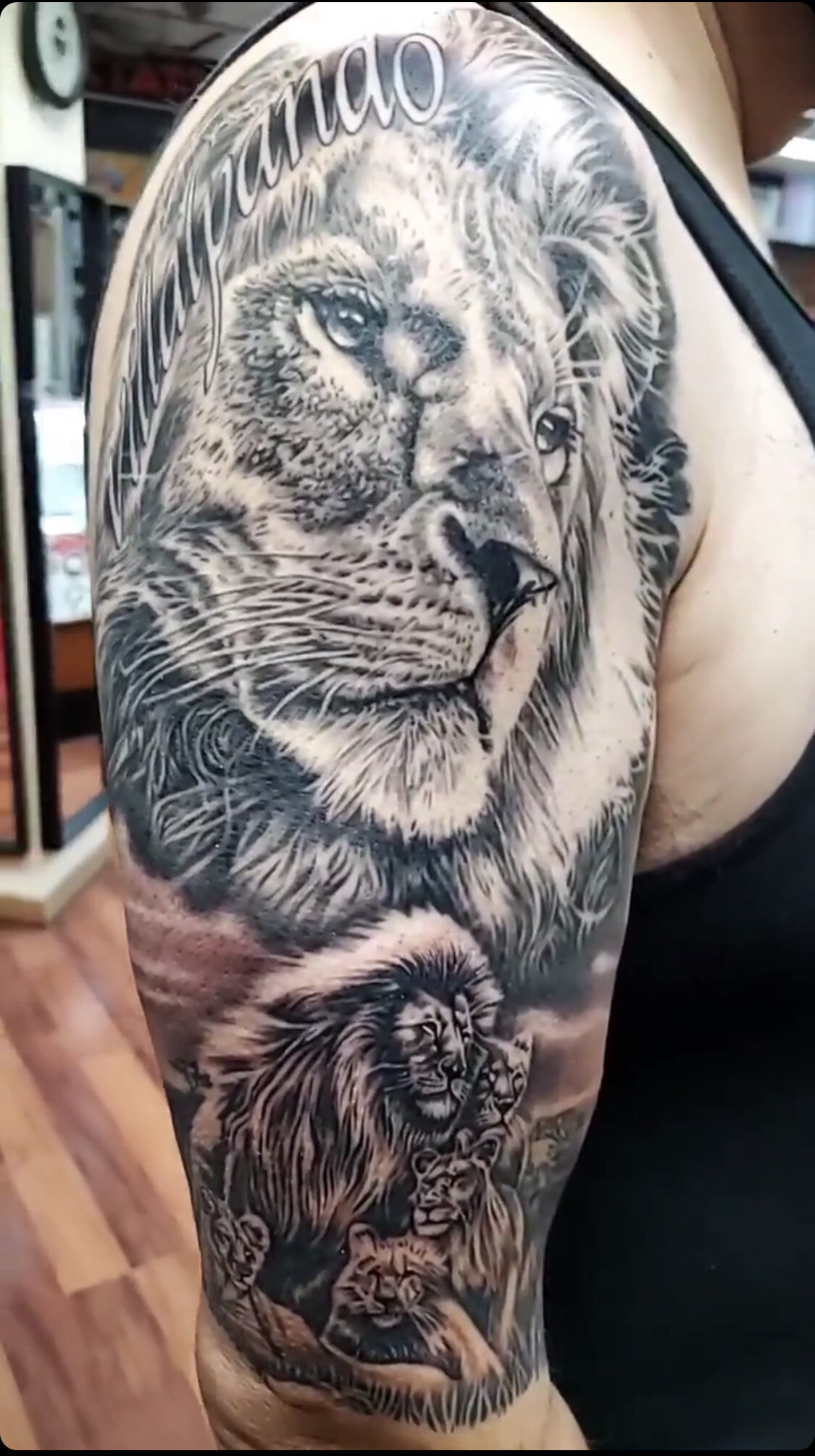 Lion realistic 