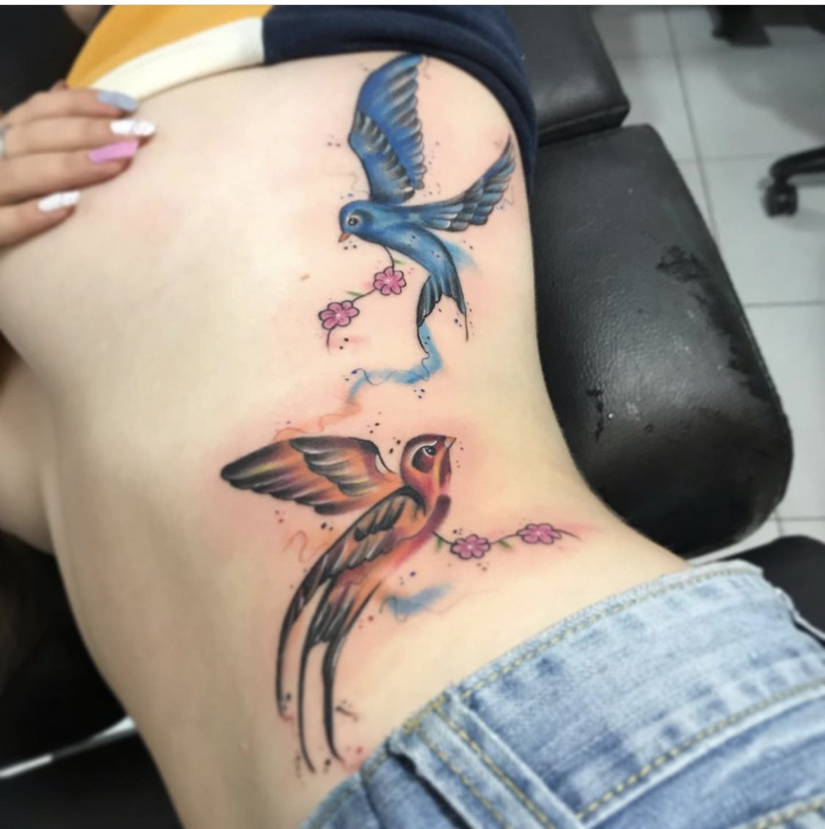 birds color in  ribs