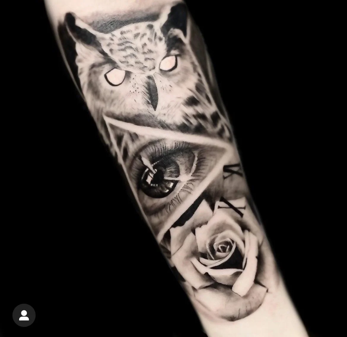 owl black and grey 