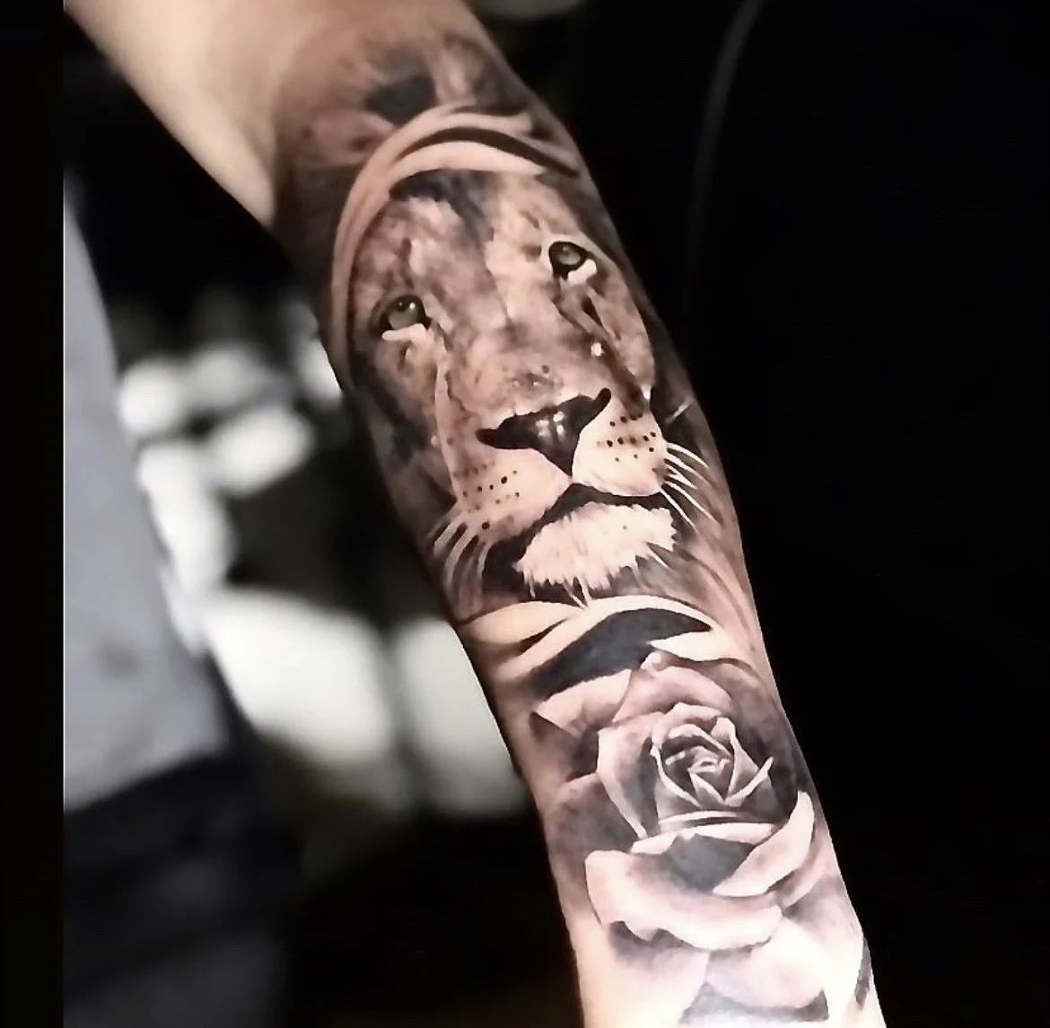 lion and rose
