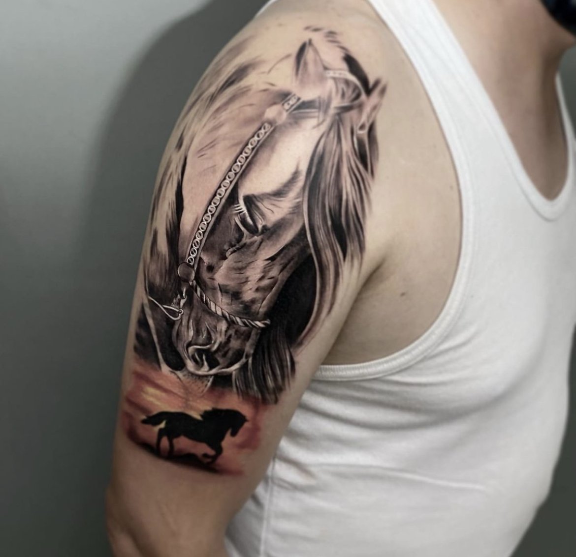 horse arm 