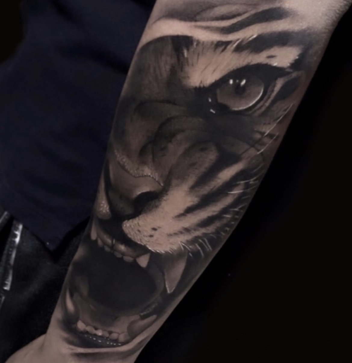 tiger forearm