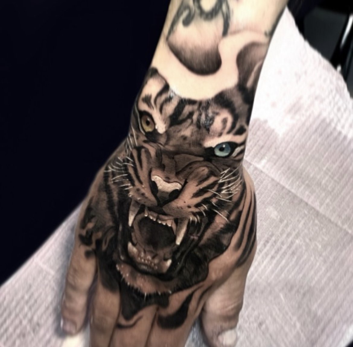 tiger hand 