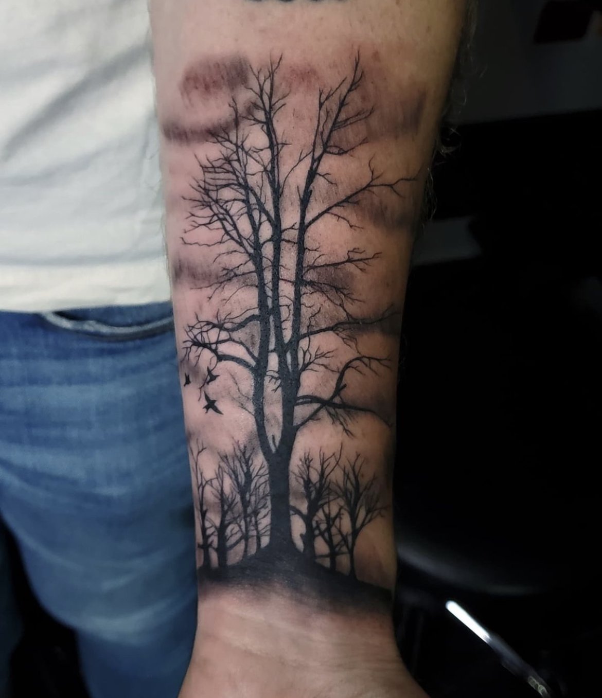 bosque arboles tree