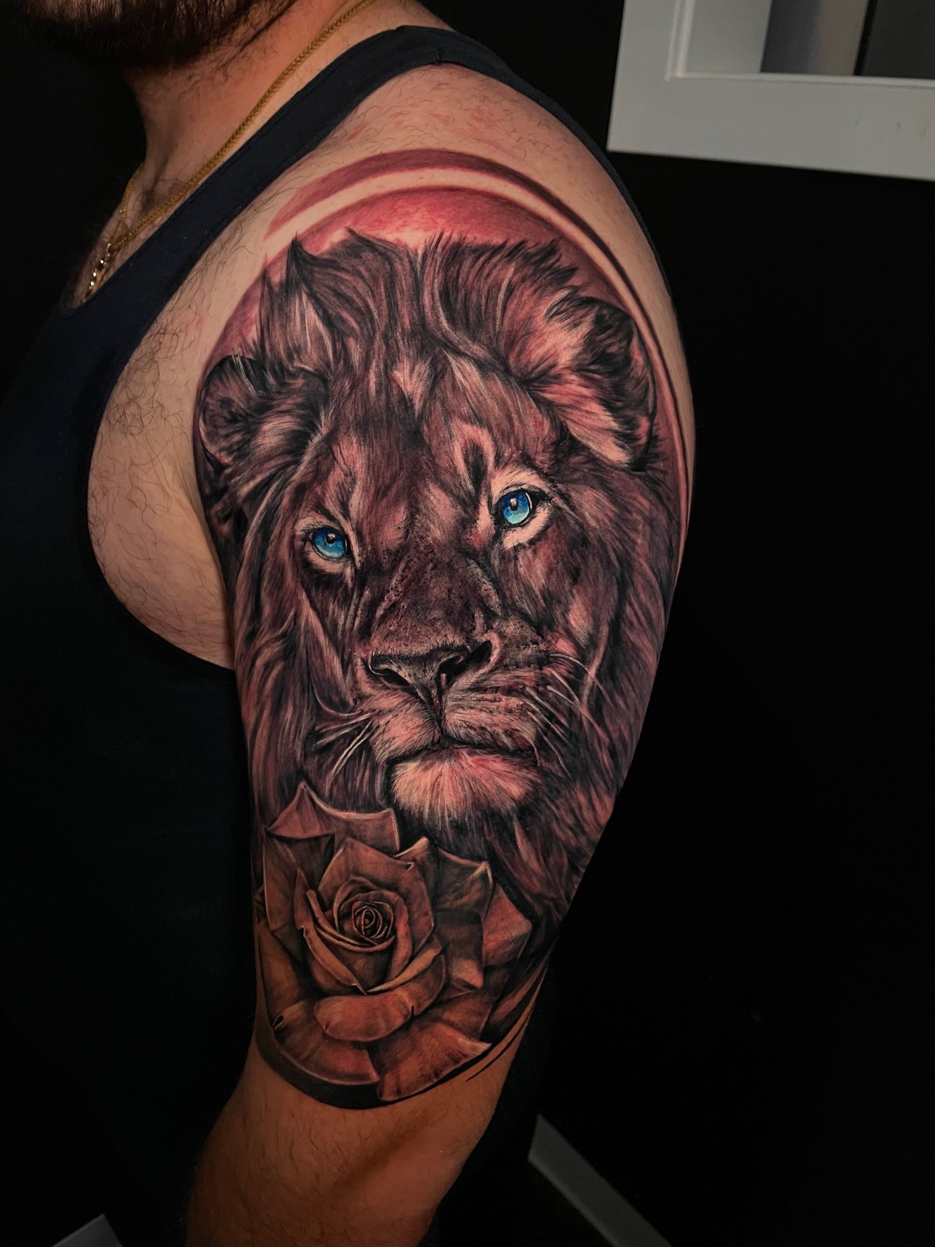 lion rose animal brave