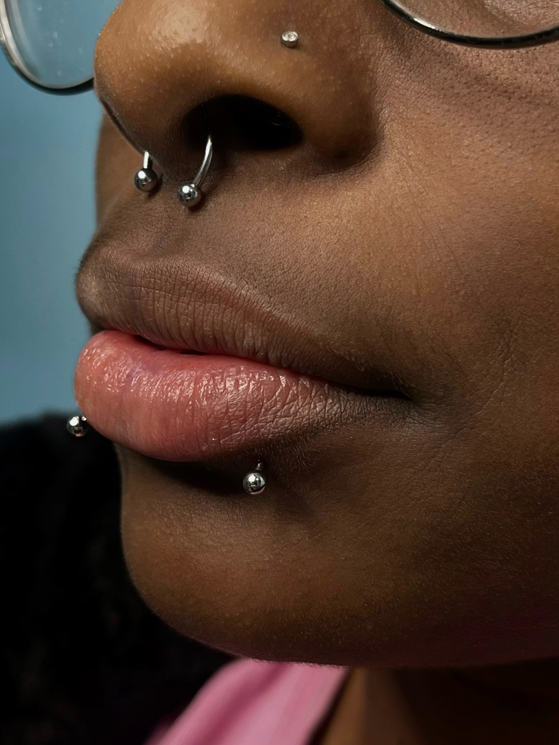 septum snake bites