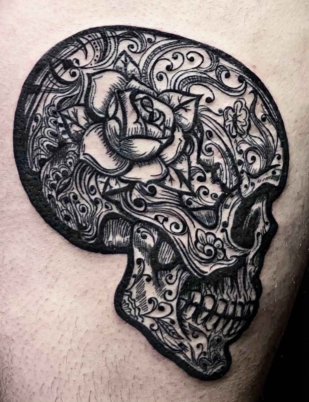 Neotraditional skull