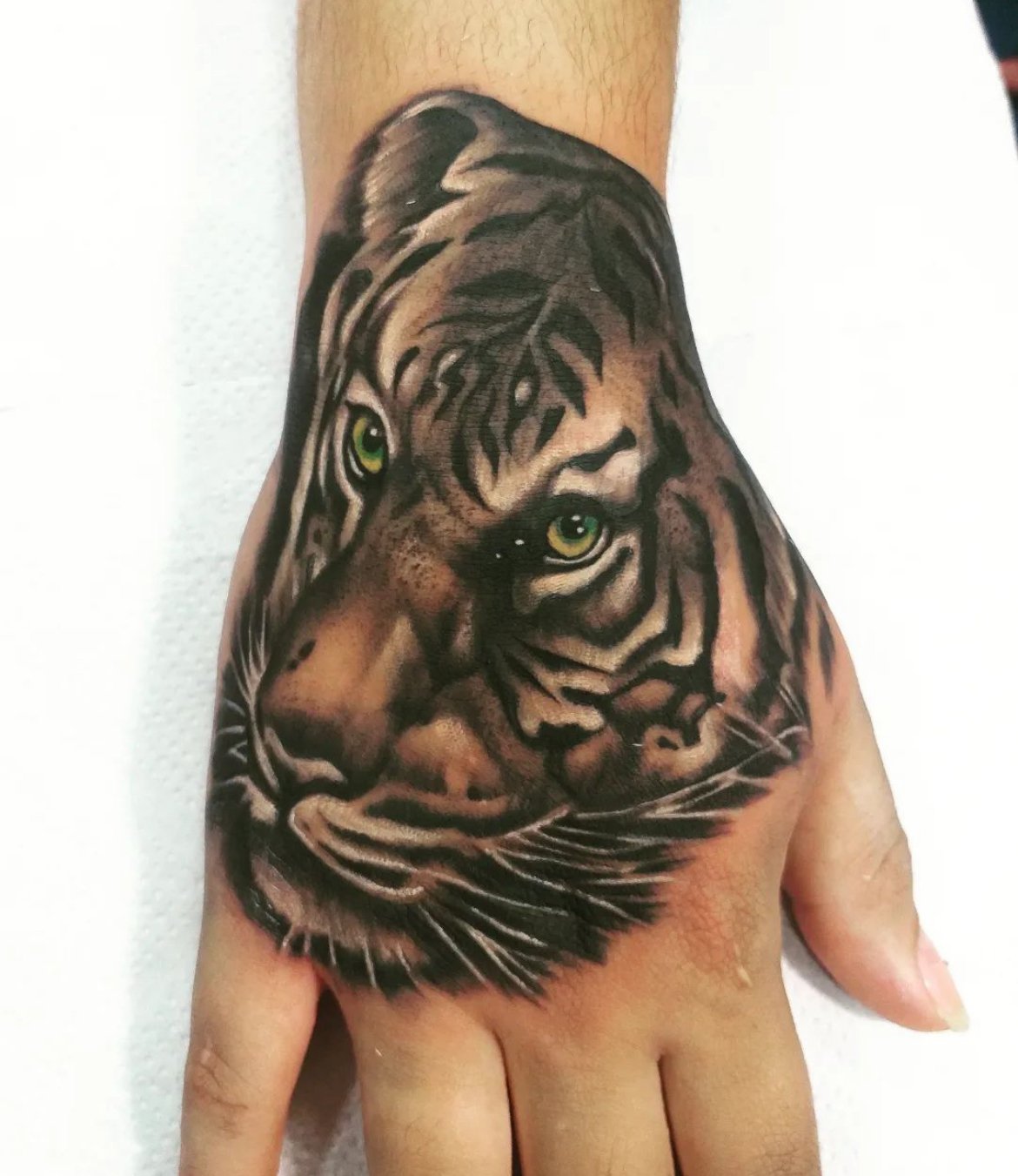 tiger black and grey  hand