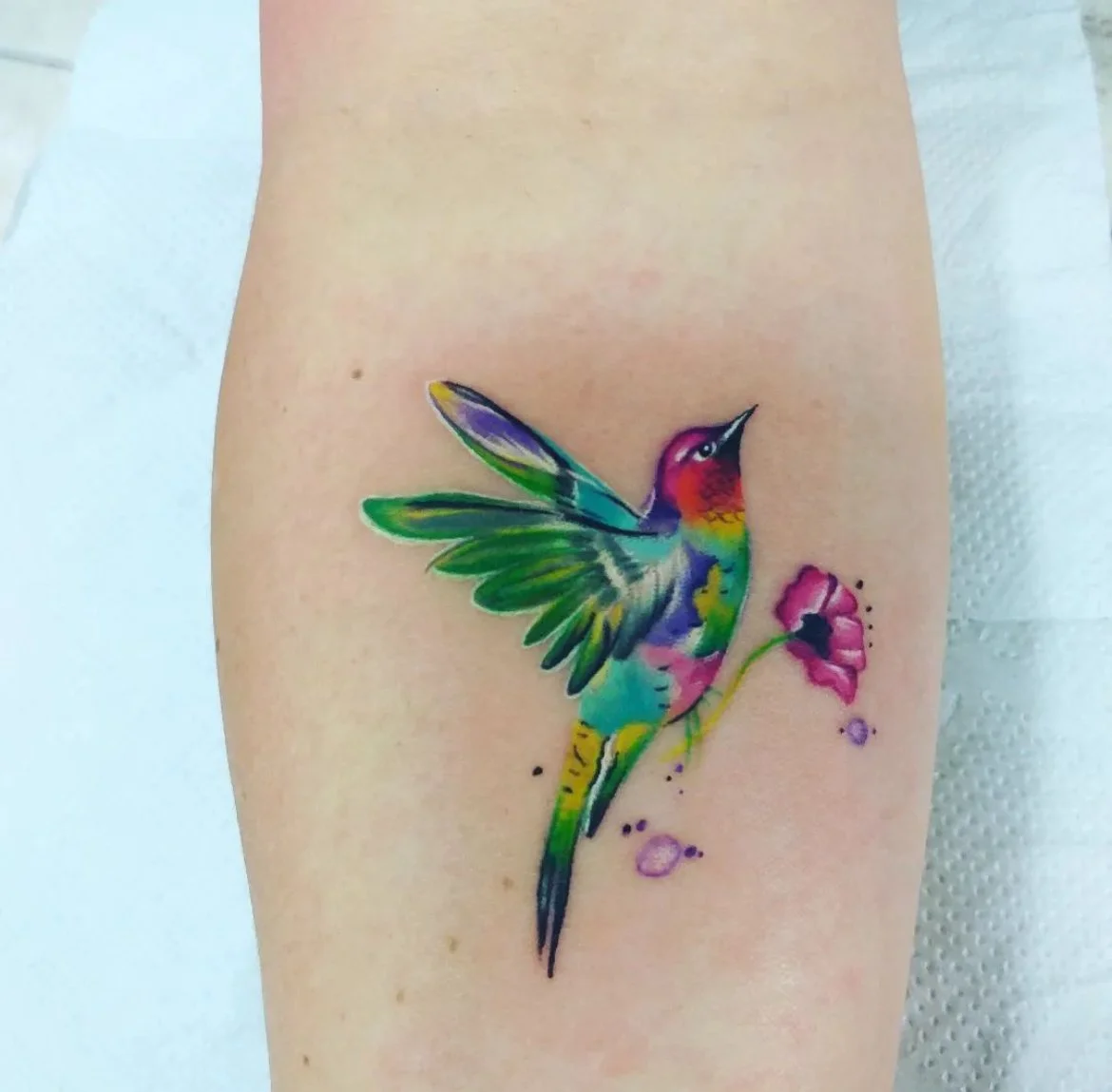 full color bird
