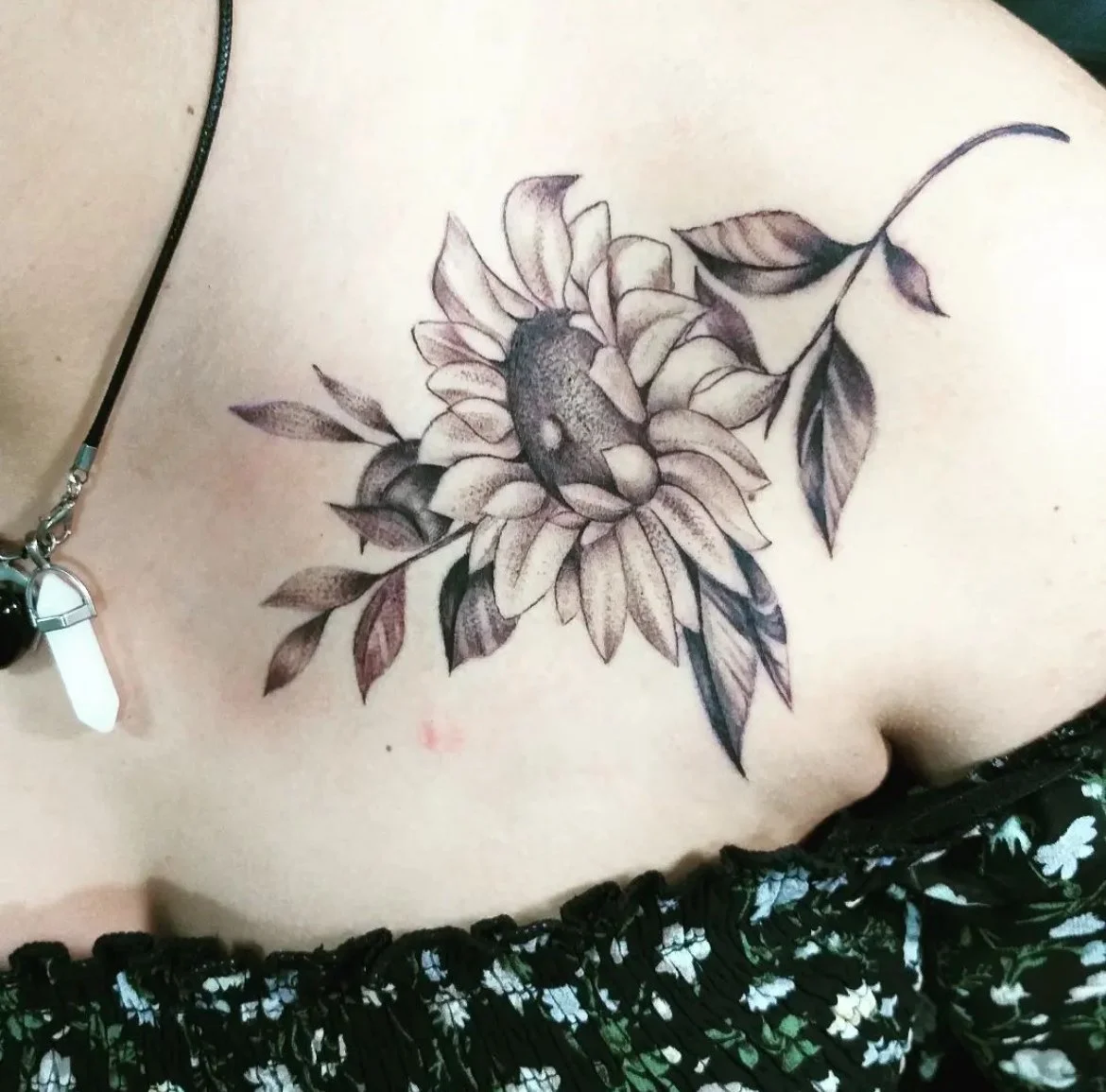 sunflower flower black and grey