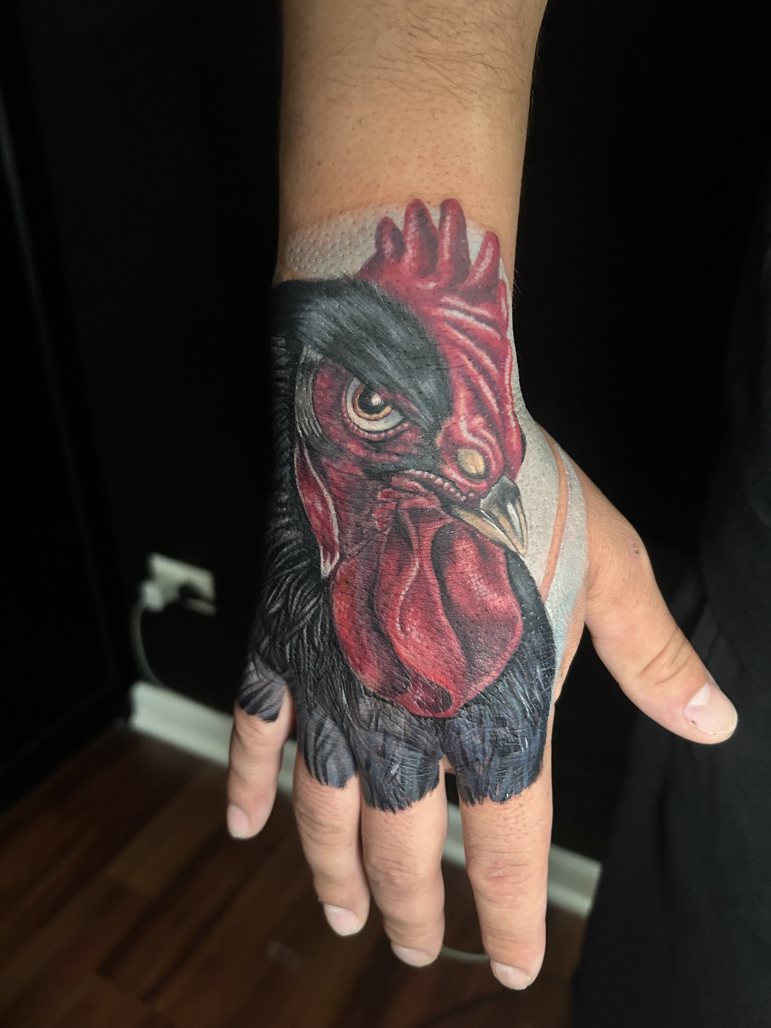 rooster realistic color