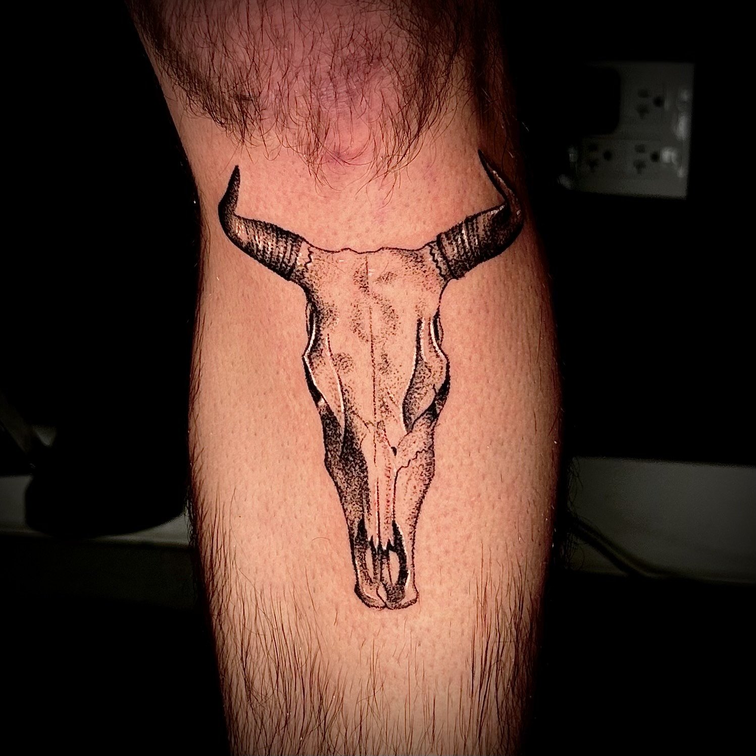 steer skull on shin