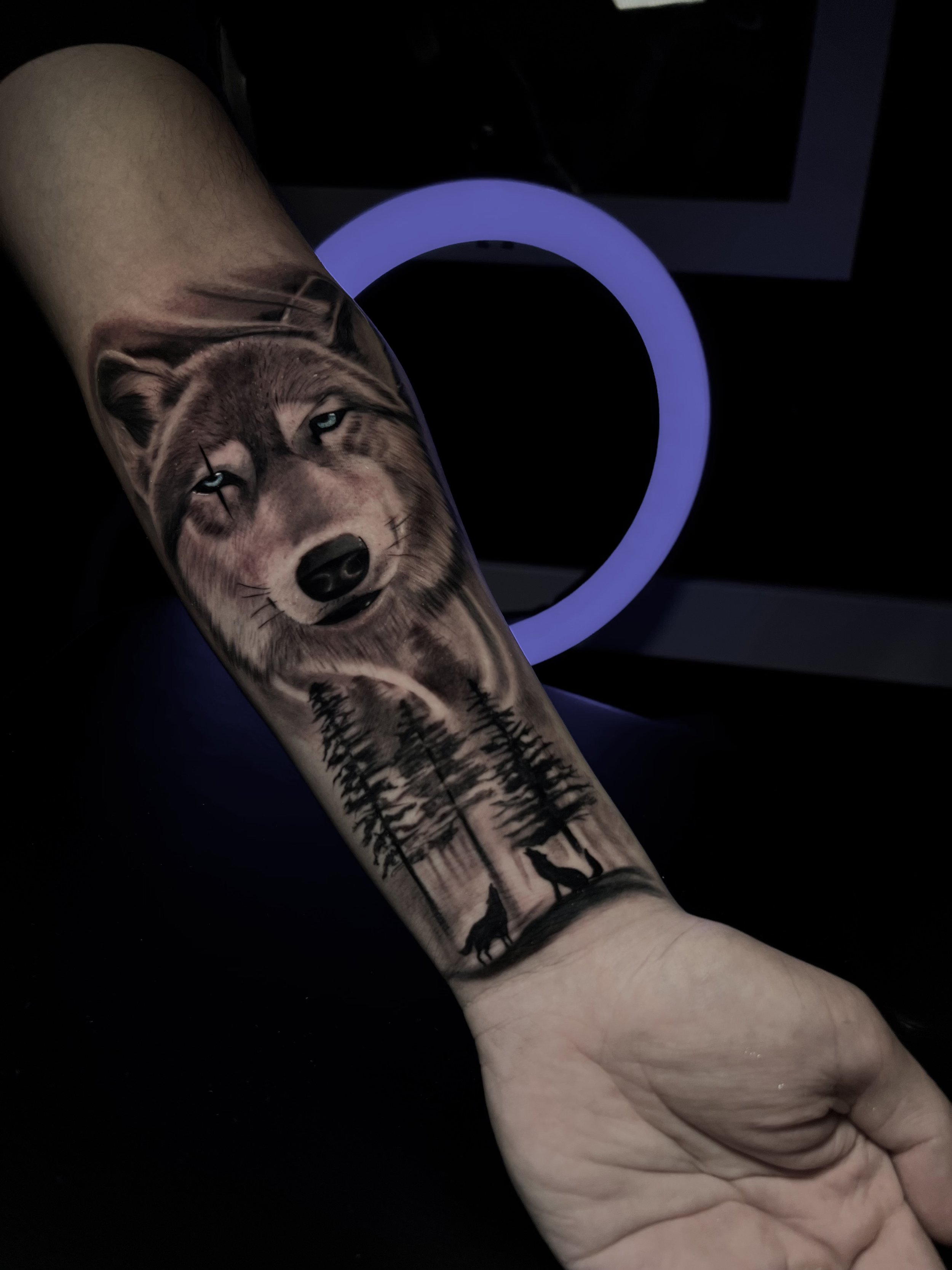 wolf arm 