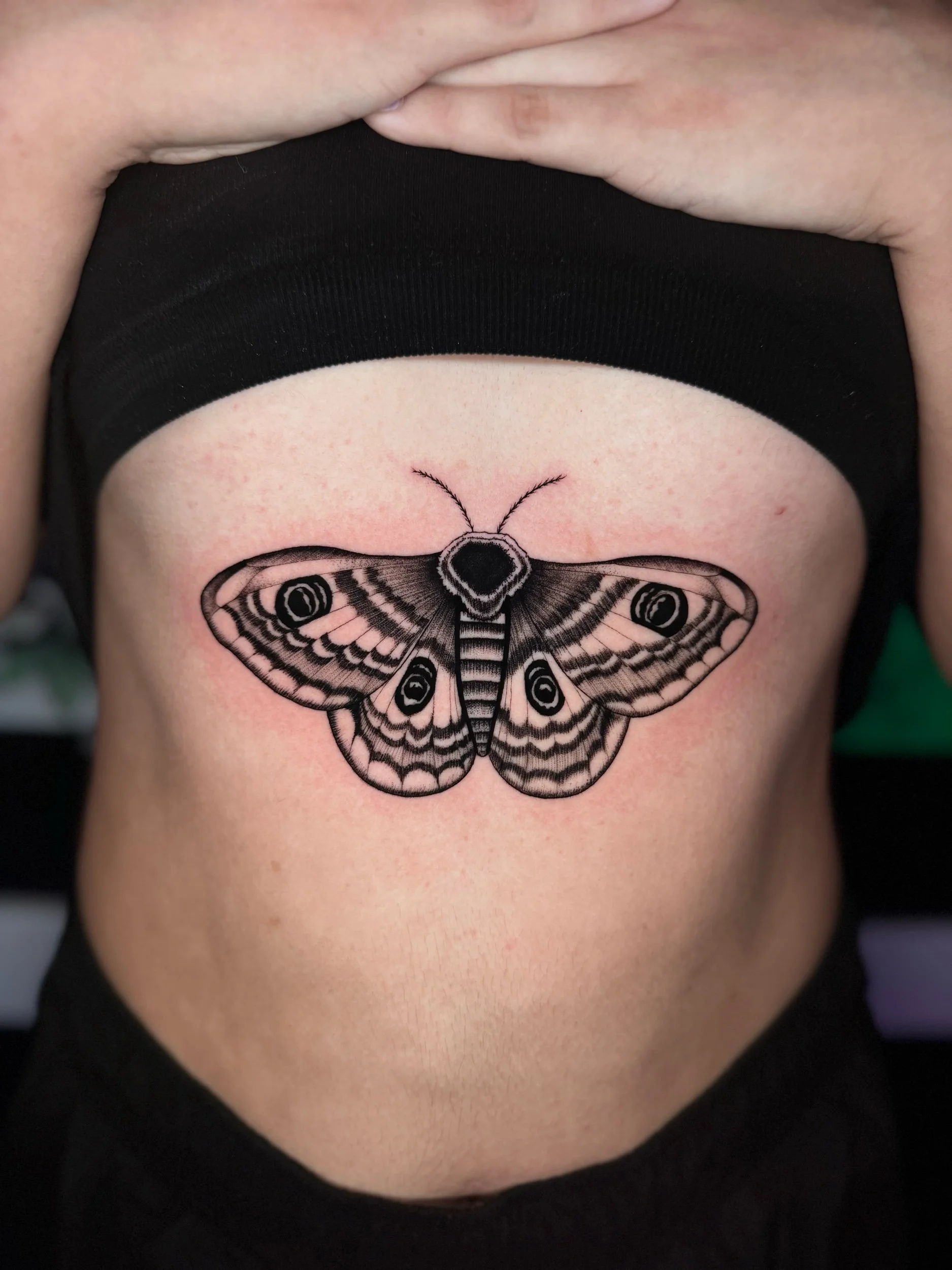 sternum 
