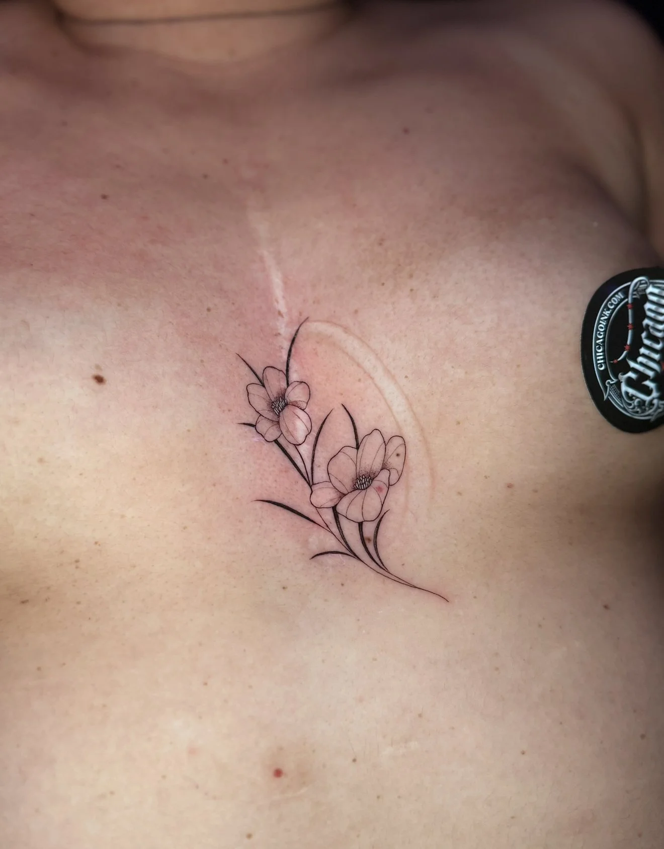IMG_7841.jpeg