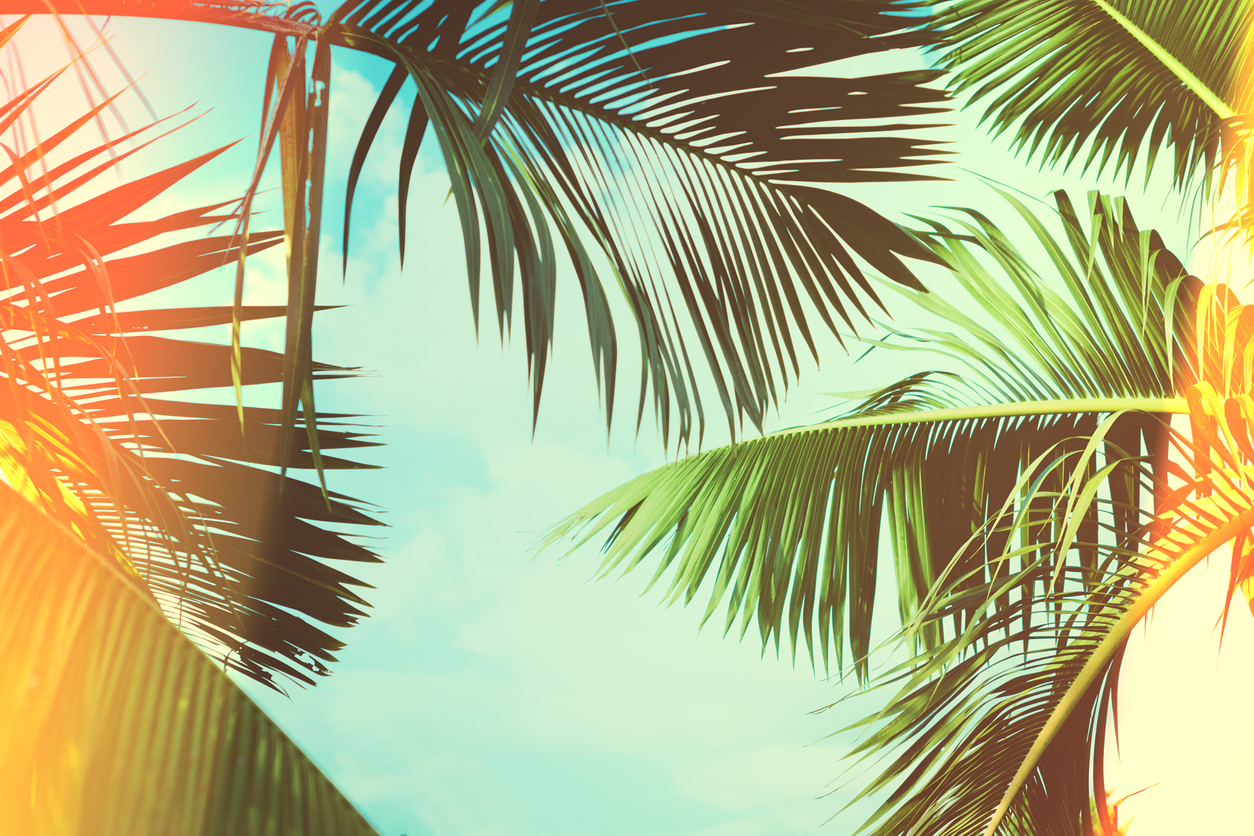iStock-858987092.jpg