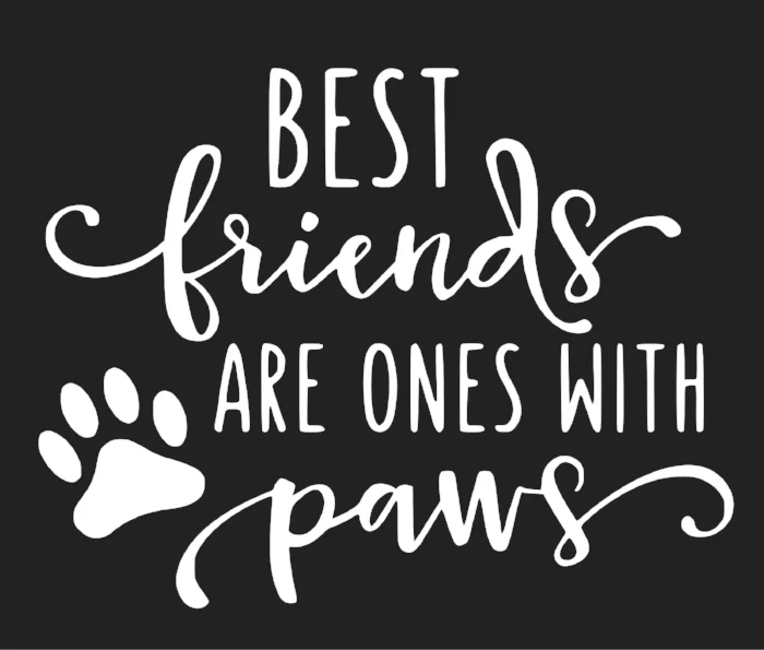 best friends are the ones with paws.jpg