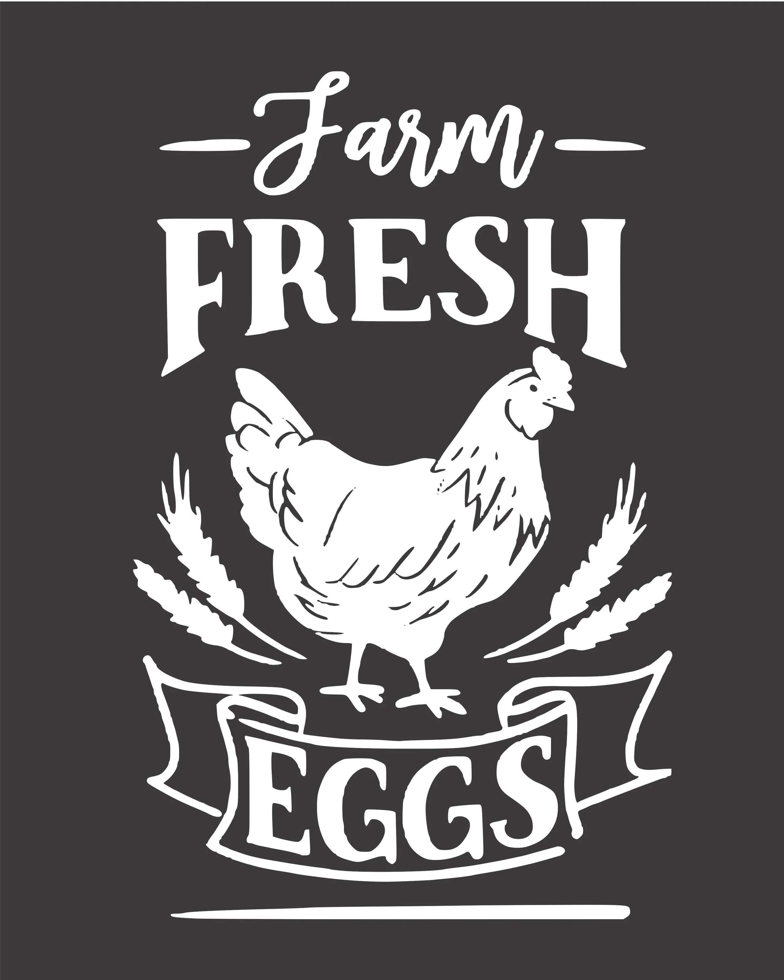 fresh farm eggs.jpg