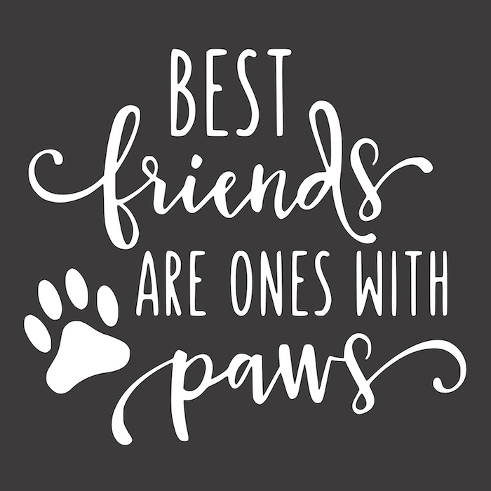 12x12 best friends are the one rustic chalk decor kelowna sign painting.jpg