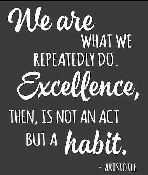 we are what we repitedly do.jpg
