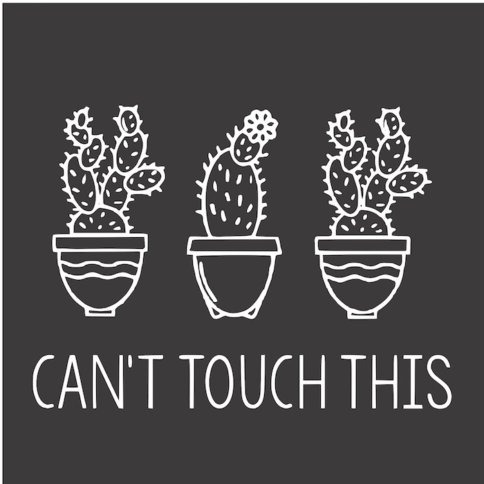 12x12 dont touch this cactus.jpg
