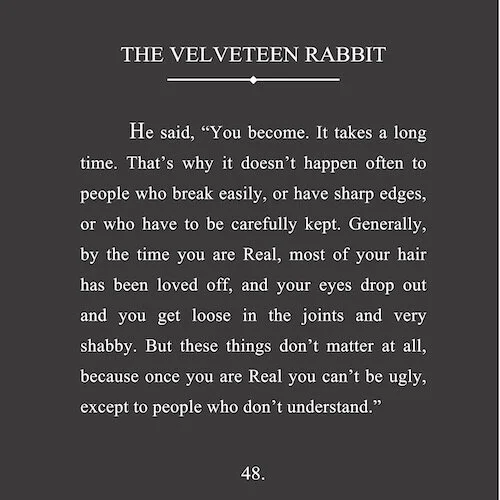 32x32 the velveteen rabbit.jpg
