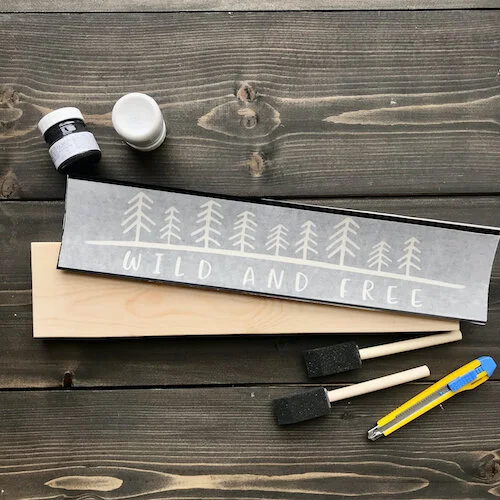 Take and Make kit buy kelowna.jpeg