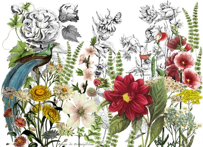 Midnight Garden - 4 sheet transfer