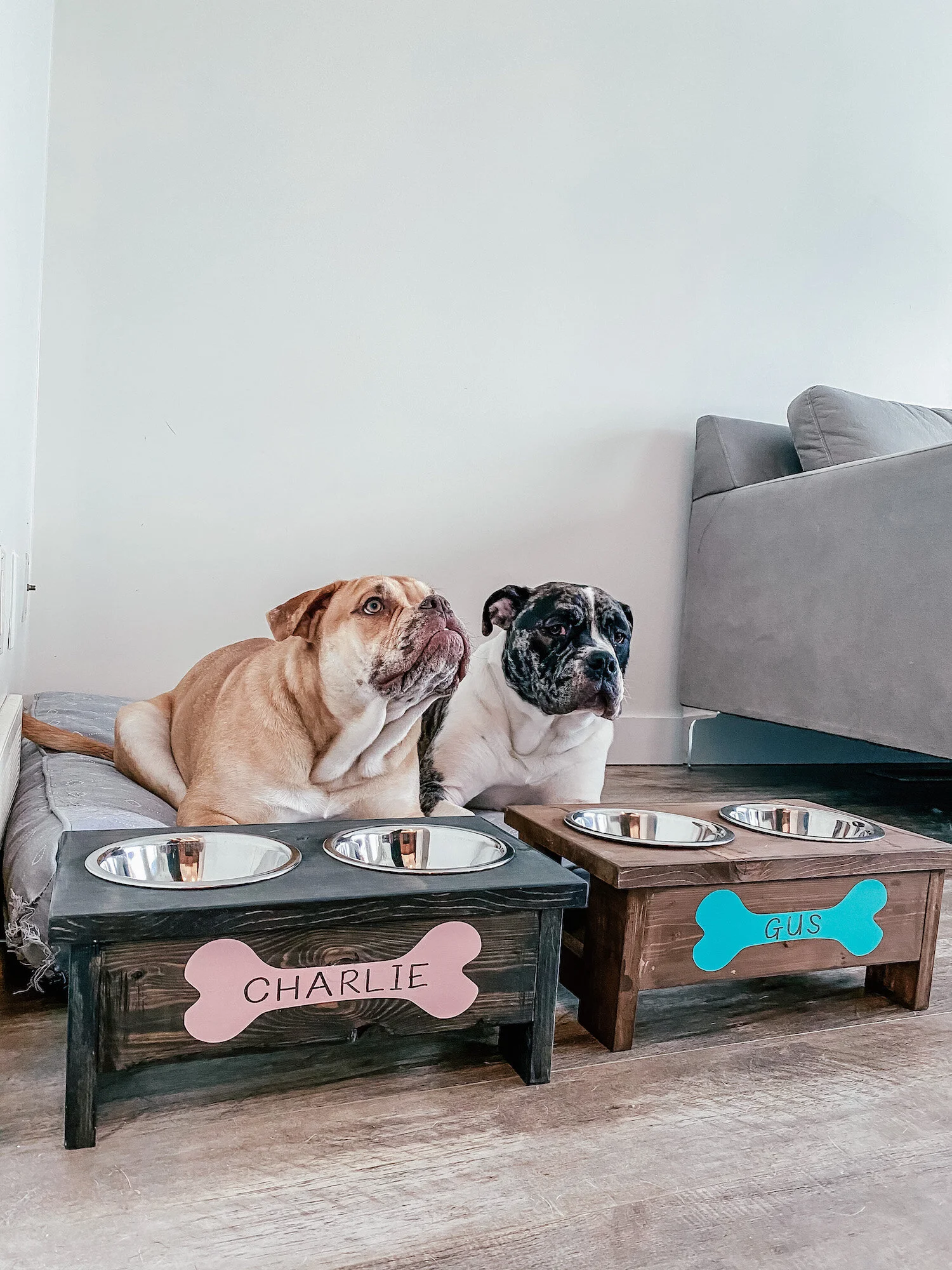 Pet Water and Food Bowl Stand Take and Make Kit