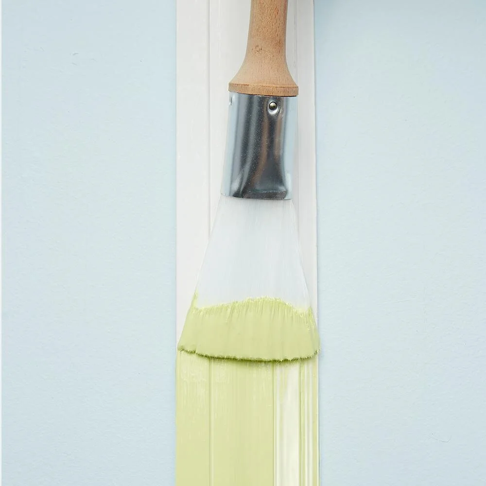 FAN PAINTBRUSH Zibra 2.jpg