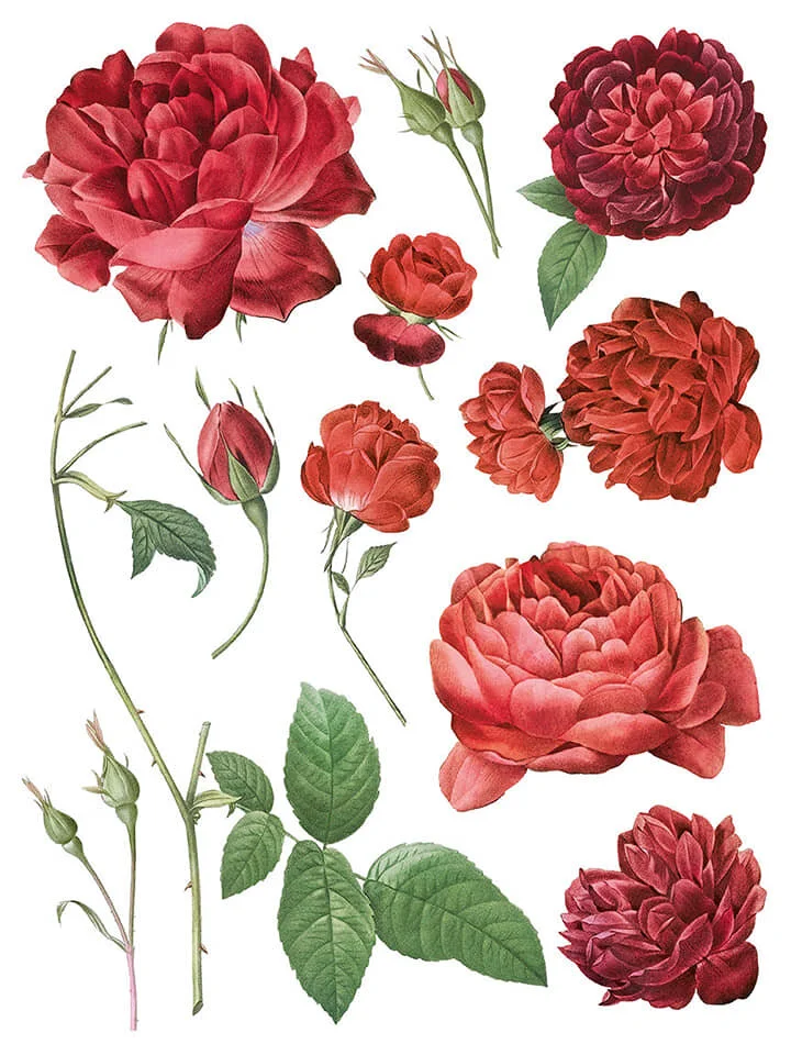 Redoute II IOD Image Trasfer  2.jpg