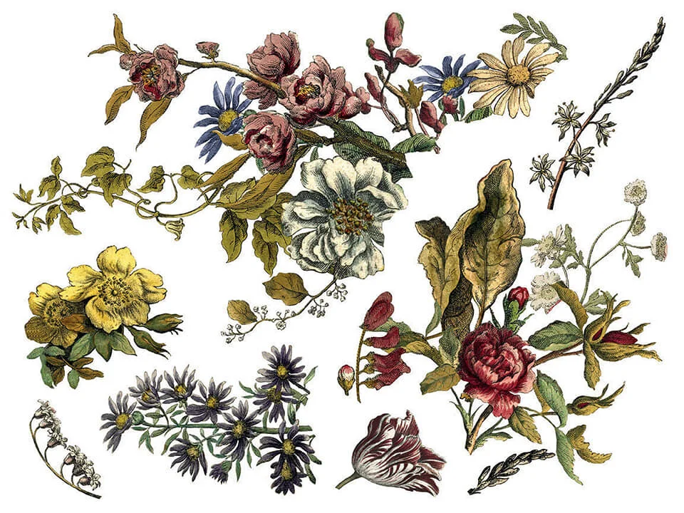 Floral Anthology 3.jpg