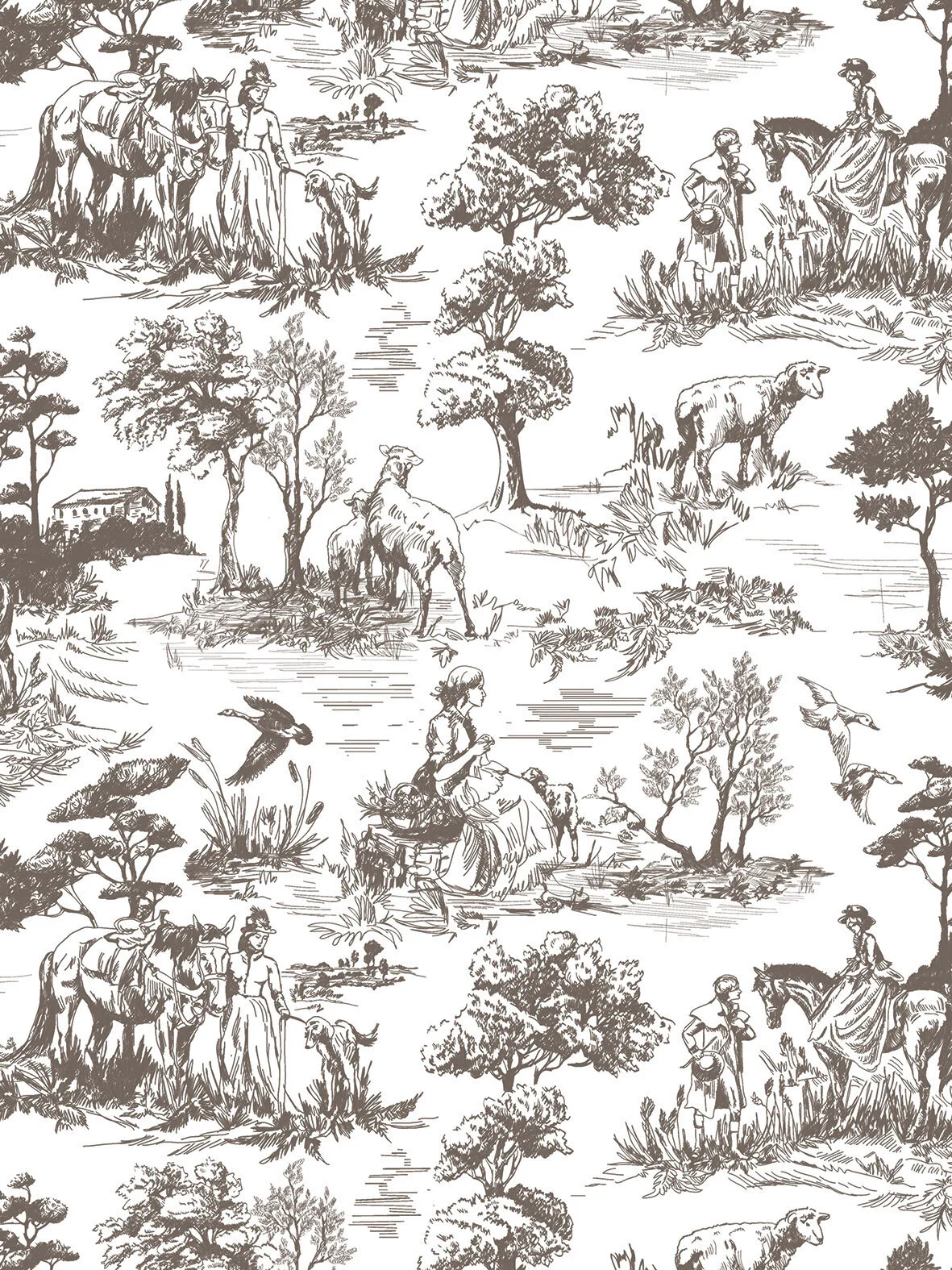 Toile_page_1_sml (1).jpg