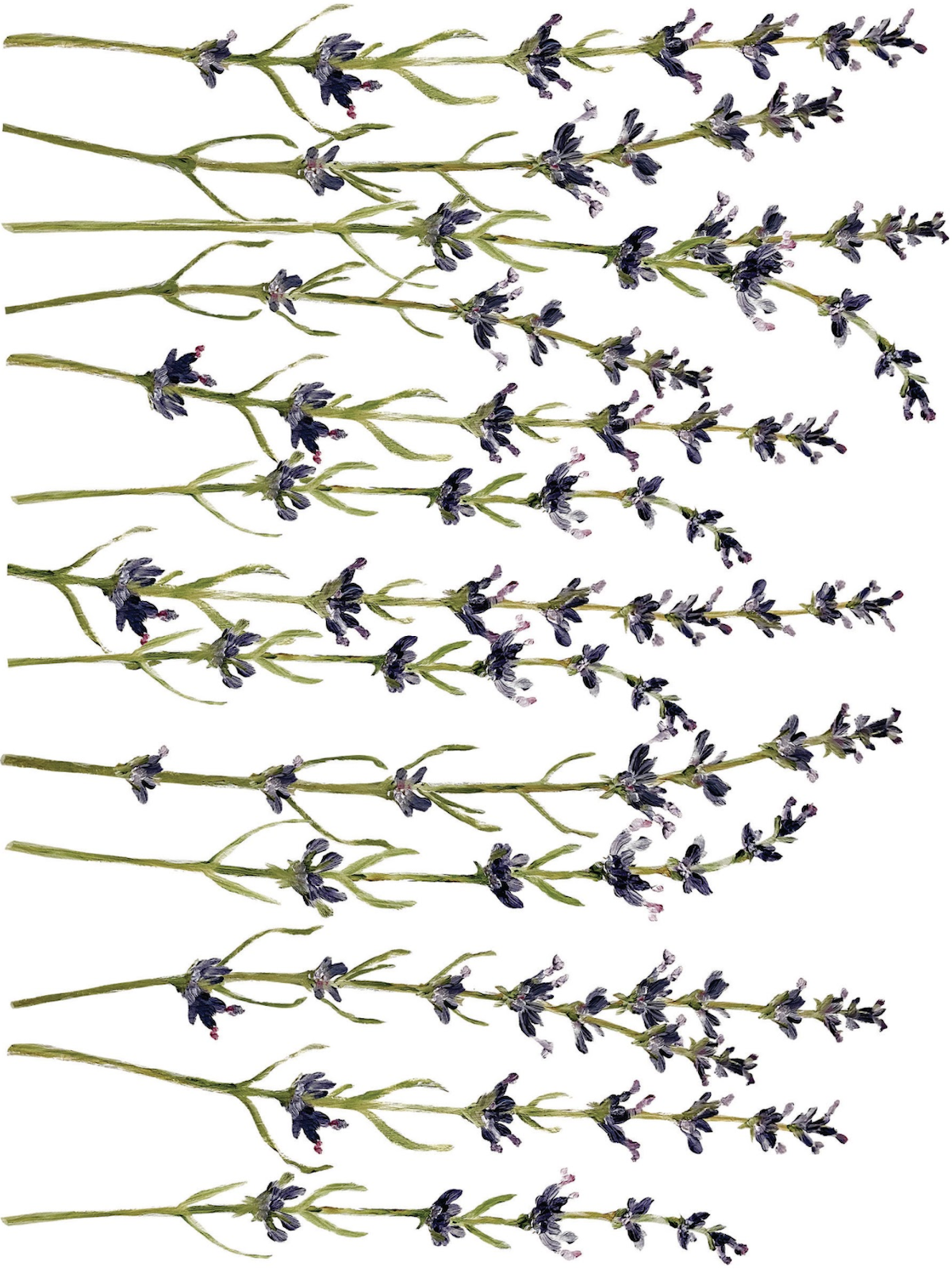 Paintely Florals 8.png