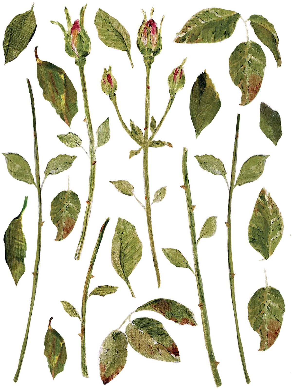 Paintely Florals 7.png