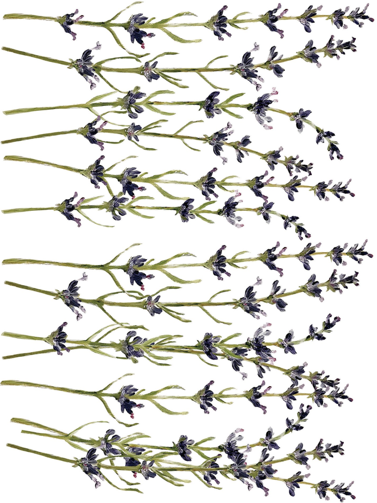 Paintely Florals 3.png