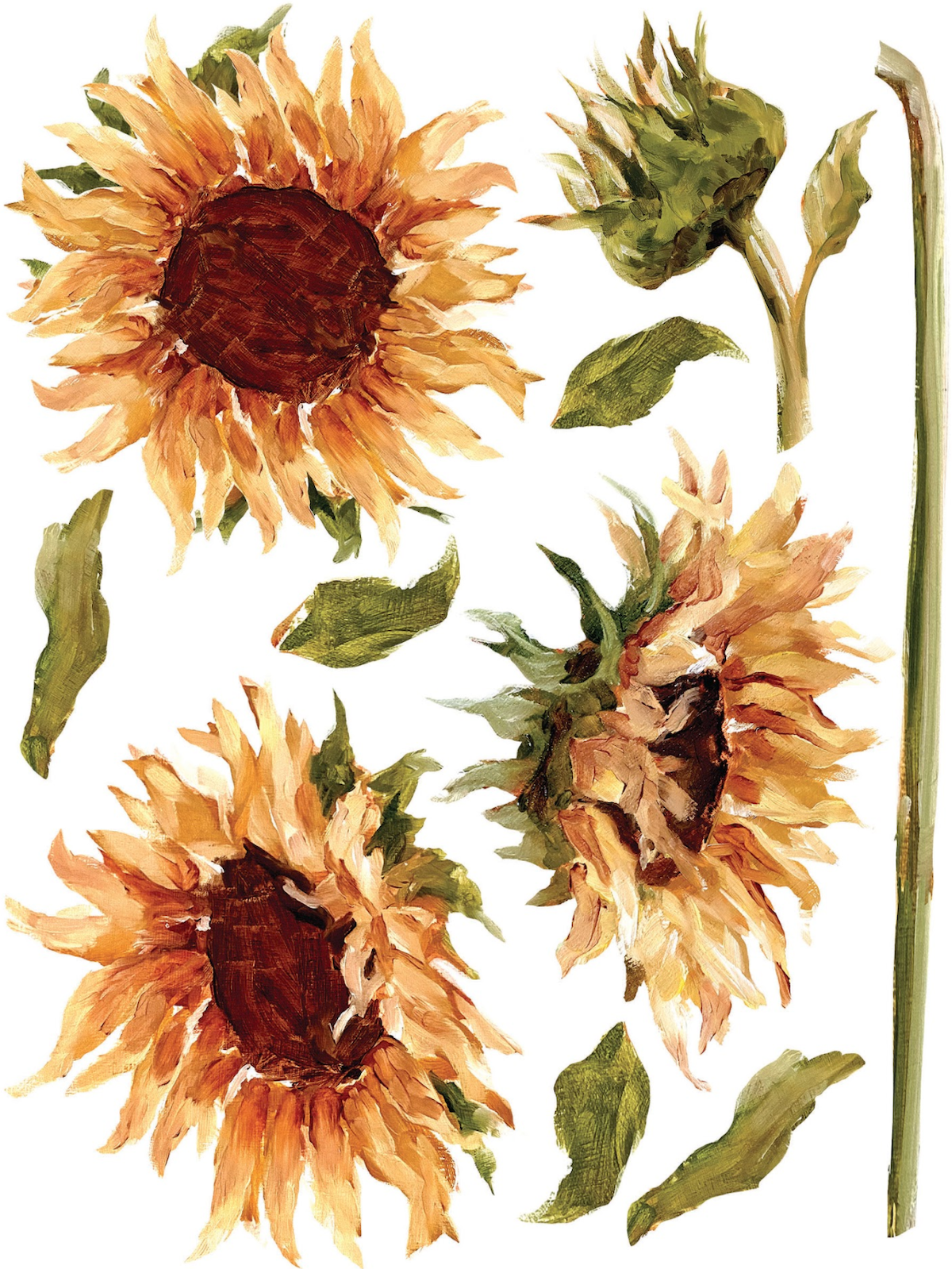 Paintely Florals 9.png