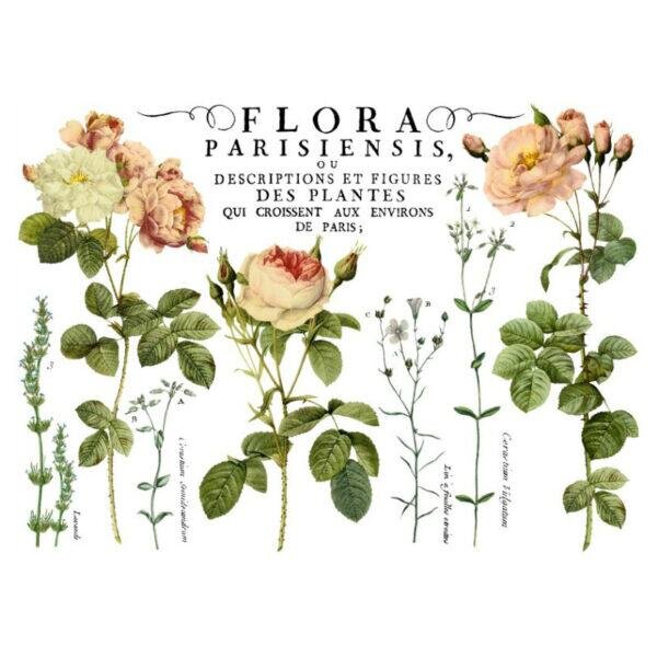 Flora Parisiensis IOD Image Transfer (12%22x16%22 pad-4 sheets).jpg