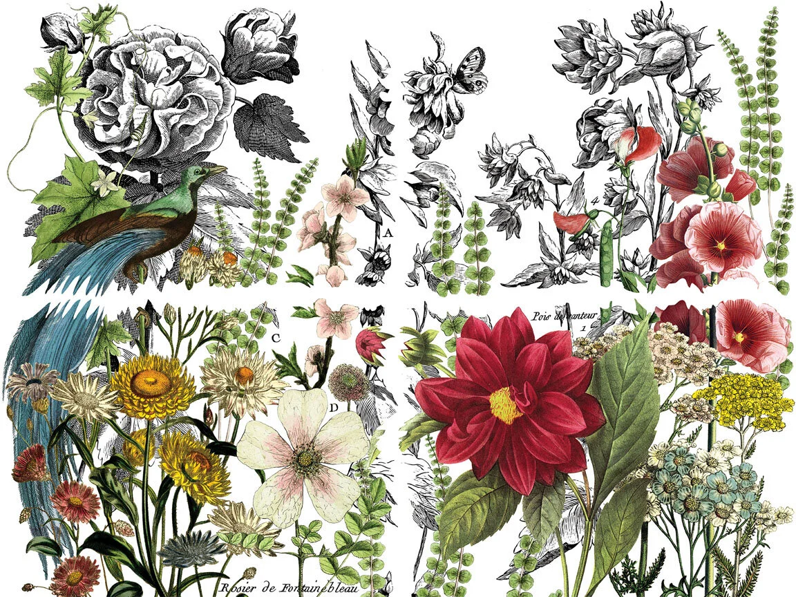 MidnightGarden2_ALL_LR.jpg