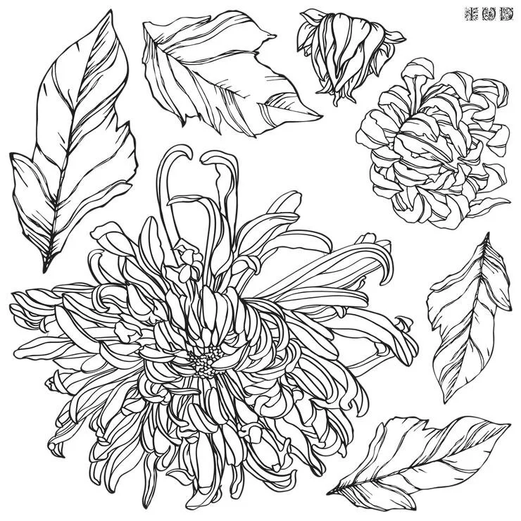 iod-chrysanthemums-decor-stamp-iron-orchid-designs-02_740x.jpg