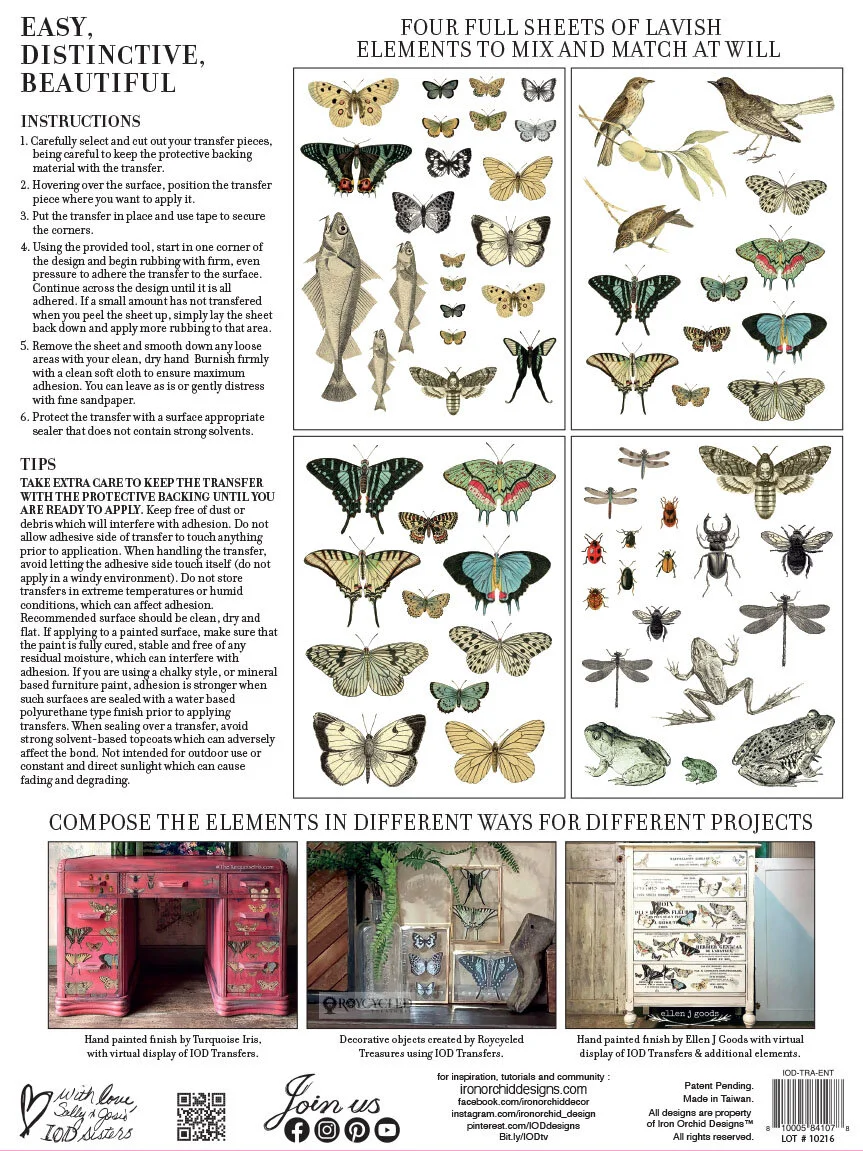 Entomology BACK.jpg