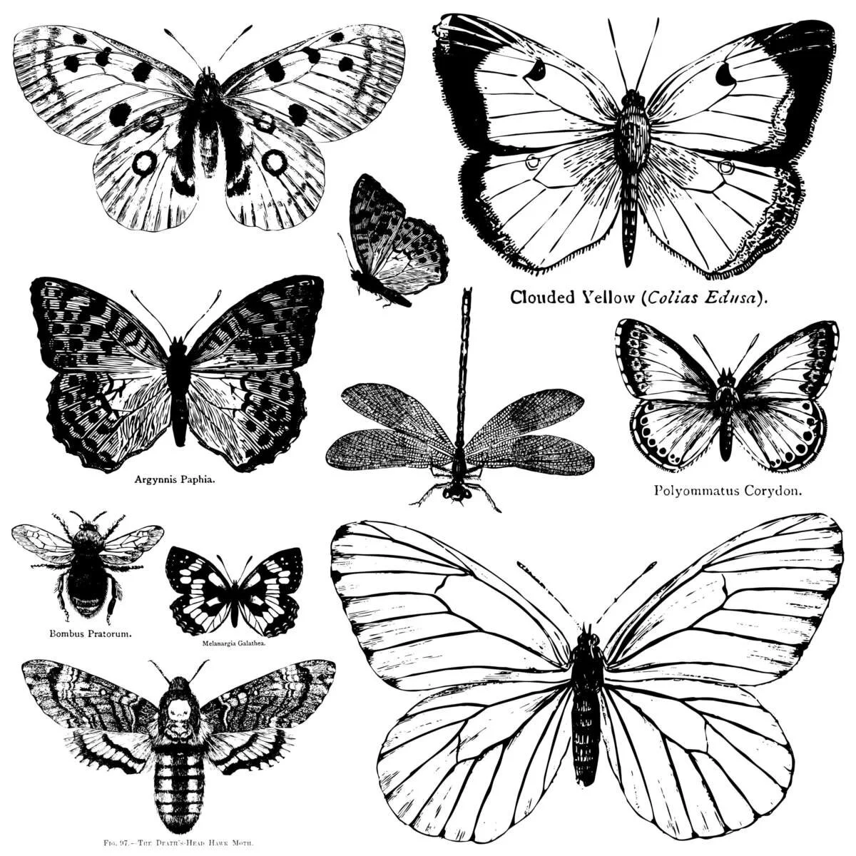 iod-butterflies-decor-stamp-by-iron-orchid-designs_1200x1200.jpg