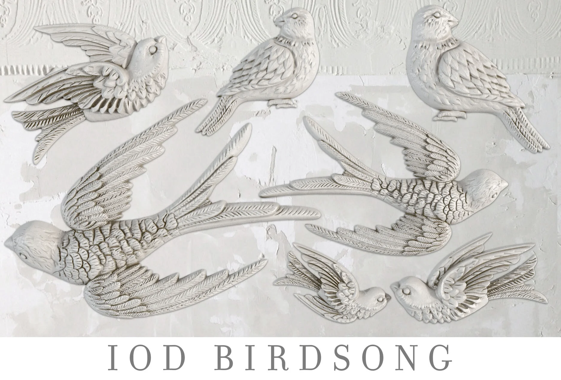 iod bird song mold kelowna bc.jpg
